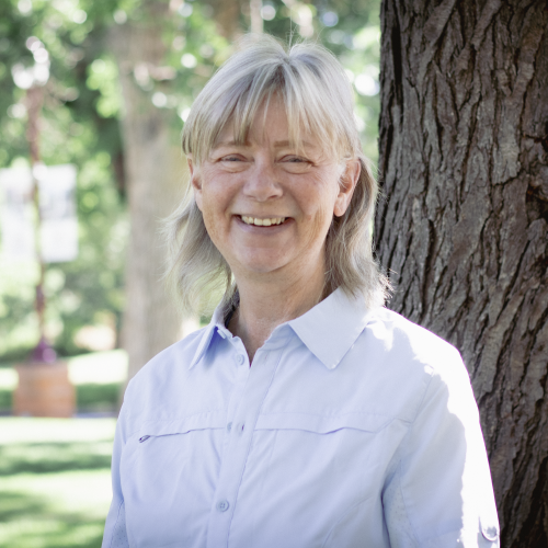 Karen Hawkes